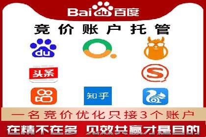 SEM托管服务成功案例：见证品牌成长